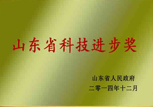 山東省科技進步獎