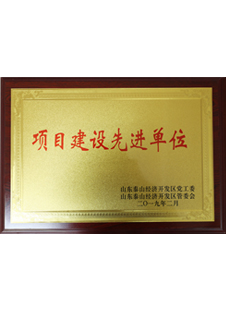 項目建設(shè)先進(jìn)單位